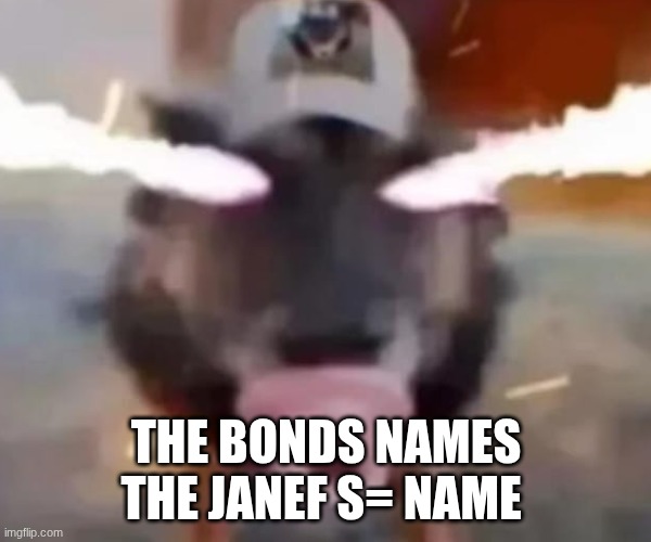 thee bronds names three jsaame  s nameee (I'm going insane) | THE BONDS NAMES THE JANEF S= NAME | image tagged in sigma dawg sucking on da binky | made w/ Imgflip meme maker