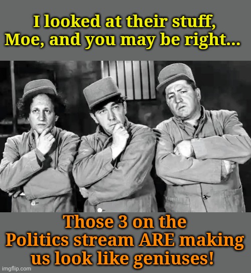Curly sez... IYKYK. | I looked at their stuff, Moe, and you may be right... Those 3 on the Politics stream ARE making us look like geniuses! | made w/ Imgflip meme maker