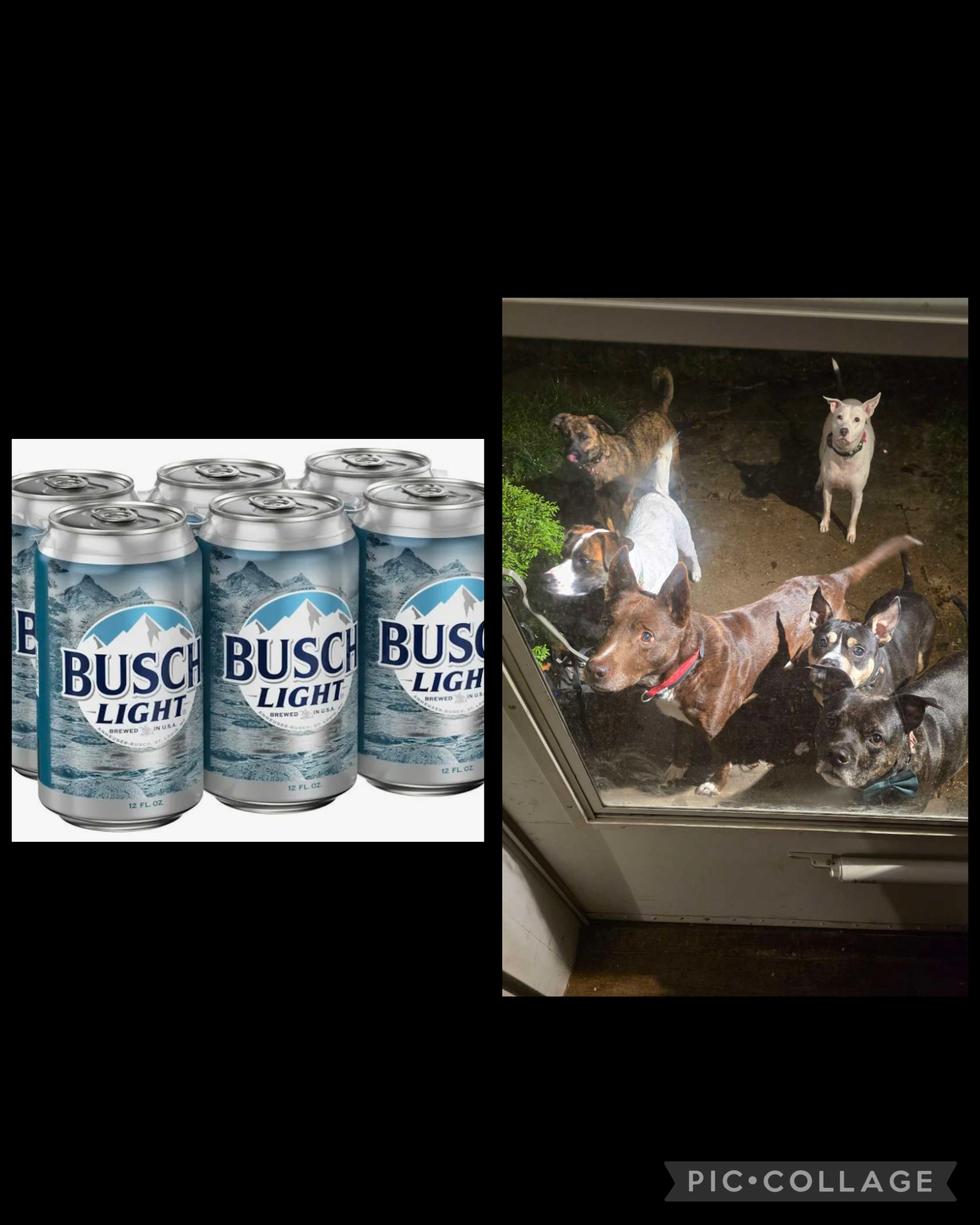 6 pack Blank Meme Template