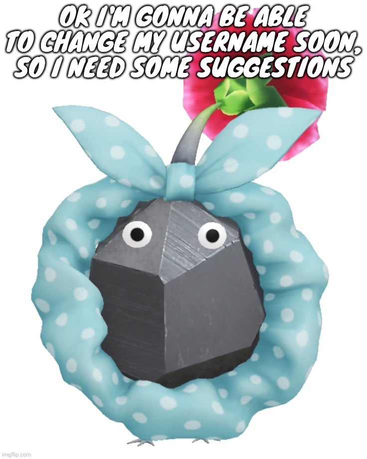 Scrunchie rock pikmin | OK I'M GONNA BE ABLE TO CHANGE MY USERNAME SOON, SO I NEED SOME SUGGESTIONS | image tagged in scrunchie rock pikmin | made w/ Imgflip meme maker