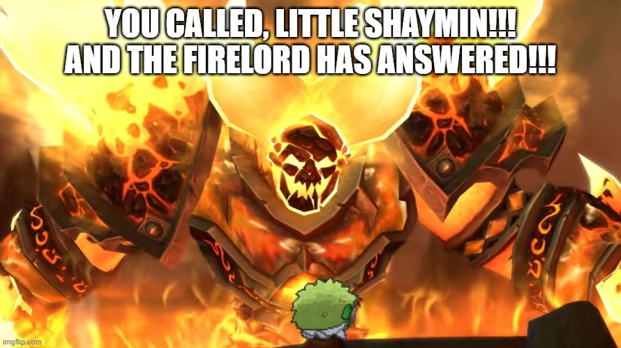 YOU CALLED, LITTLE SHAYMIN | YOU CALLED, LITTLE SHAYMIN!!! AND THE FIRELORD HAS ANSWERED!!! | image tagged in wow,warcraft,pokemon,shaman,shaymin,funny meme | made w/ Imgflip meme maker