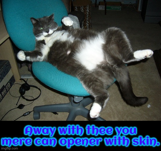 Away With Thee | Away with thee you mere can opener with skin. | image tagged in cats,funny cats,peasant,superior royalty,we are intellectually superior in every way,go away | made w/ Imgflip meme maker