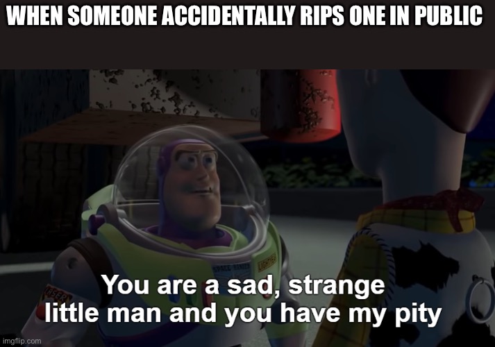 You are sad | WHEN SOMEONE ACCIDENTALLY RIPS ONE IN PUBLIC | image tagged in you are a sad strange little man and you have my pity,fun,dark humor,jesus christ,toy story | made w/ Imgflip meme maker