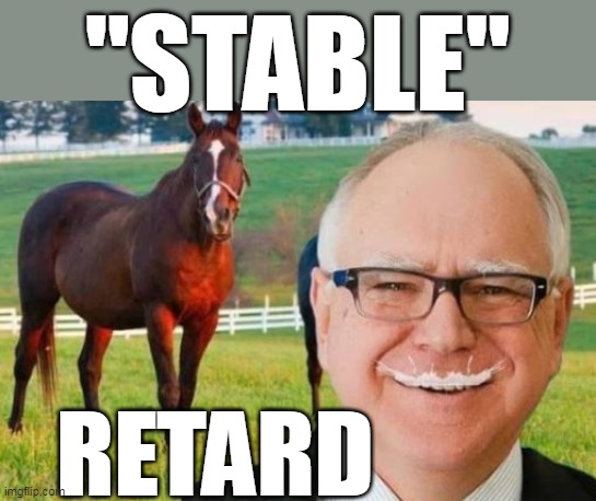 "STABLE" RETARD | made w/ Imgflip meme maker