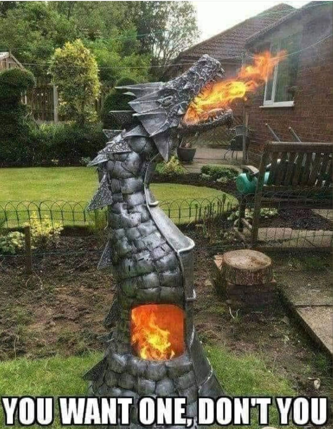 Dragon Blank Meme Template