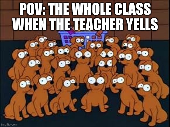ouzhdvuhauodhnfcsahd | POV: THE WHOLE CLASS WHEN THE TEACHER YELLS | image tagged in the simpsons santa's little helpers puppies,the simpsons | made w/ Imgflip meme maker
