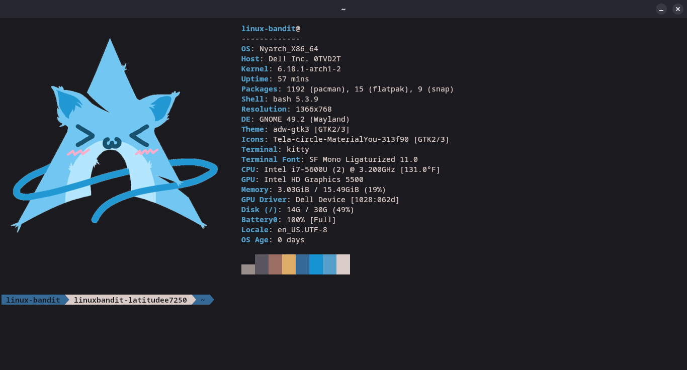 bandit's nyarch fetch Blank Meme Template