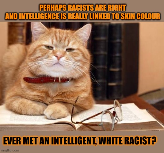 This #lolcat wonders if intelligence is linked to skin colour | PERHAPS RACISTS ARE RIGHT 
AND INTELLIGENCE IS REALLY LINKED TO SKIN COLOUR; EVER MET AN INTELLIGENT, WHITE RACIST? | image tagged in lolcat,racism,intelligence | made w/ Imgflip meme maker