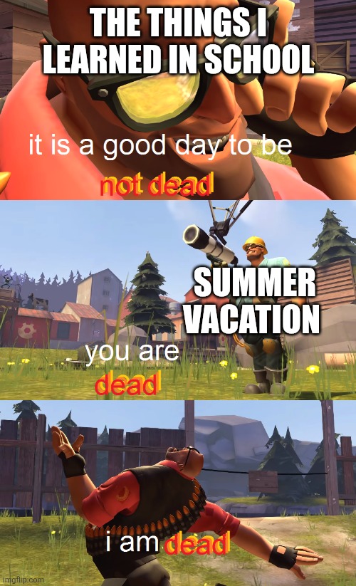 Story of my life | THE THINGS I LEARNED IN SCHOOL; SUMMER VACATION | image tagged in heavy is dead | made w/ Imgflip meme maker