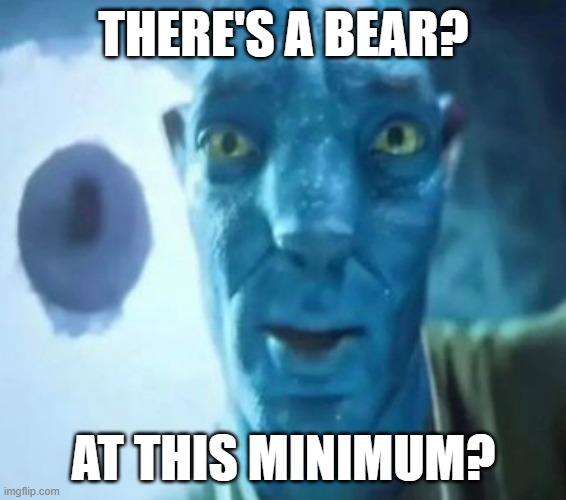At the bear minimum | THERE'S A BEAR? AT THIS MINIMUM? | image tagged in avatar guy | made w/ Imgflip meme maker