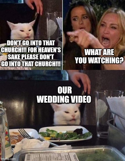 DON'T GO INTO THAT CHURCH!!! FOR HEAVEN'S SAKE PLEASE DON'T GO INTO THAT CHURCH!!! WHAT ARE YOU WATCHING? OUR WEDDING VIDEO | image tagged in reverse smudge that darn cat,salad cat | made w/ Imgflip meme maker