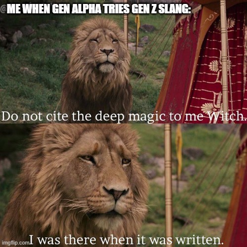 Do not cite the deep magic to me witch | ME WHEN GEN ALPHA TRIES GEN Z SLANG: | image tagged in do not cite the deep magic to me witch | made w/ Imgflip meme maker