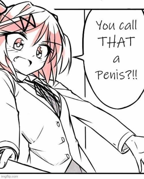 you call that a penis Blank Meme Template