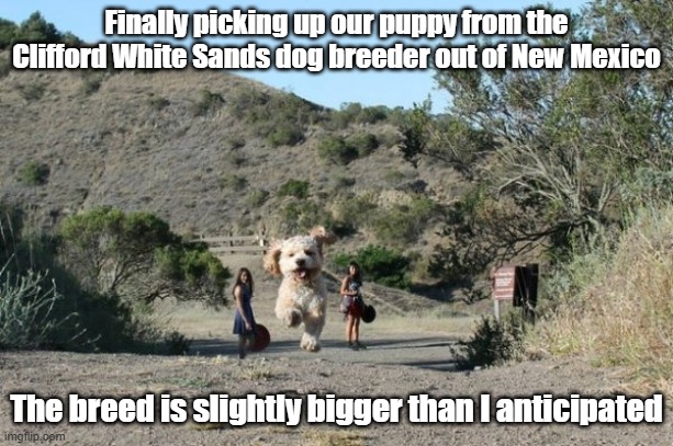 PUPpies | Finally picking up our puppy from the Clifford White Sands dog breeder out of New Mexico; The breed is slightly bigger than I anticipated | image tagged in dog,puppy,good boy,huge | made w/ Imgflip meme maker