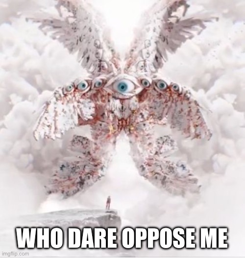 Biblically Accurate Angel | WHO DARE OPPOSE ME | image tagged in biblically accurate angel | made w/ Imgflip meme maker