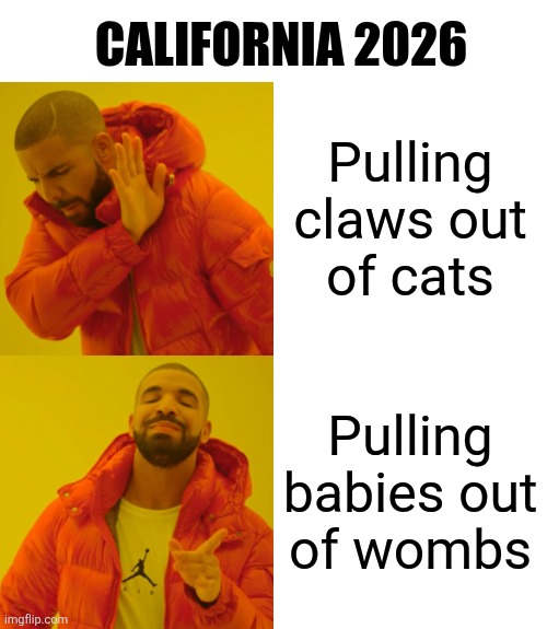 New Law suggests it's inhuman to remove cat claws. But babies? Fugetta bout it | CALIFORNIA 2026; Pulling claws out
of cats; Pulling babies out
of wombs | image tagged in memes,drake hotline bling,california,democrats,liberals | made w/ Imgflip meme maker