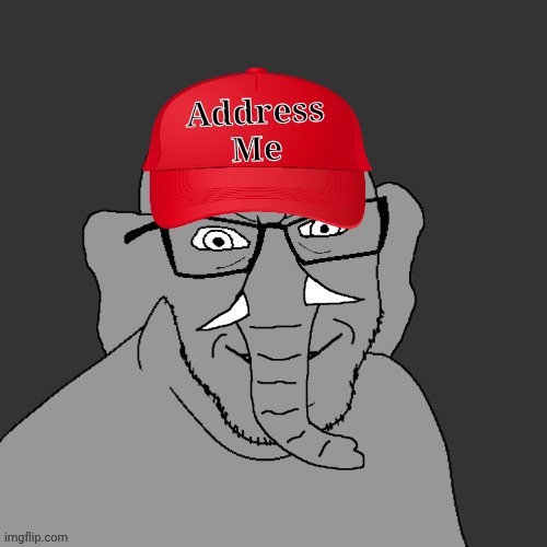 Address me | image tagged in address me | made w/ Imgflip meme maker