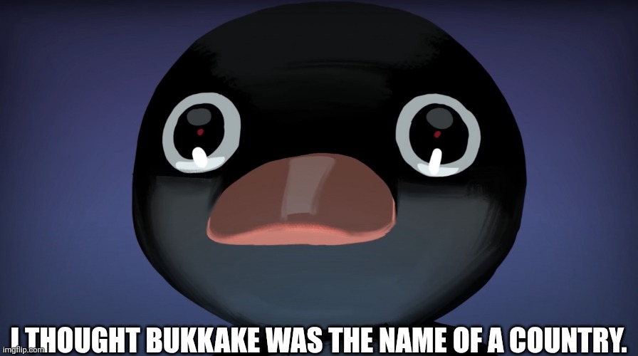 I actually thought it was a country I'm dead | I THOUGHT BUKKAKE WAS THE NAME OF A COUNTRY. | image tagged in terrified noot noot,regret | made w/ Imgflip meme maker