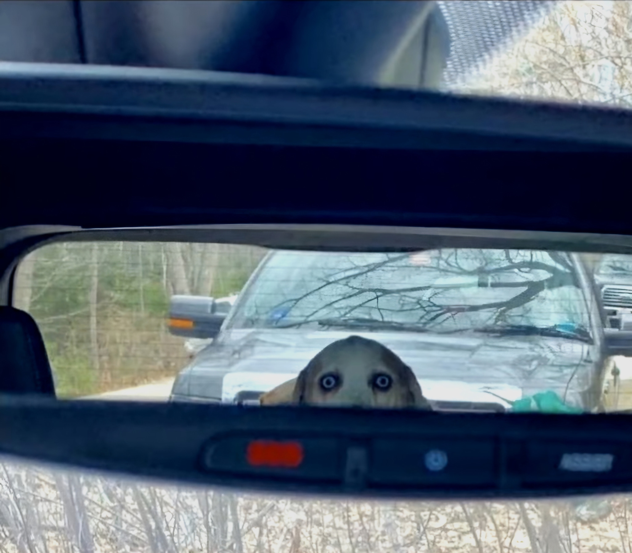 SCP-3174-J Blank Meme Template