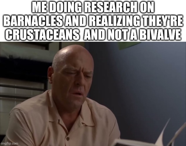 True dat | ME DOING RESEARCH ON BARNACLES AND REALIZING THEY'RE CRUSTACEANS  AND NOT A BIVALVE | image tagged in taxonomy | made w/ Imgflip meme maker