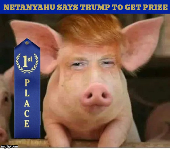 Netanyahu to give Trump prize | NETANYAHU SAYS TRUMP TO GET PRIZE | image tagged in netanyahu to give trump prize,trump hogs prize,boss hog,male chavinist pig,porky pig,two pigs in a poke | made w/ Imgflip meme maker