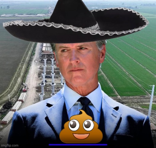 Gavin Newsom craphead Blank Meme Template