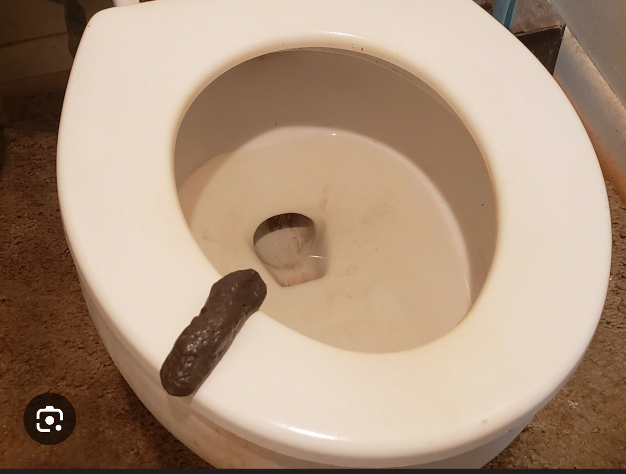 Toilet Blank Meme Template