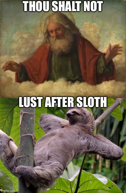 Do not lust after sloth | THOU SHALT NOT; LUST AFTER SLOTH | image tagged in god,lazy sloth,sloth,lust,ten commandments | made w/ Imgflip meme maker