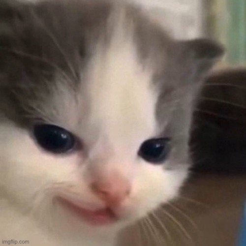 image tagged in mischief | made w/ Imgflip meme maker