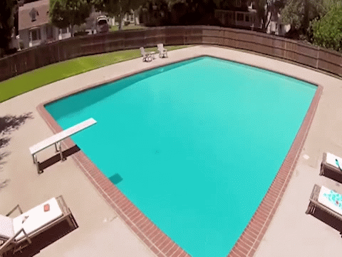 Animated GIF - Imgflip