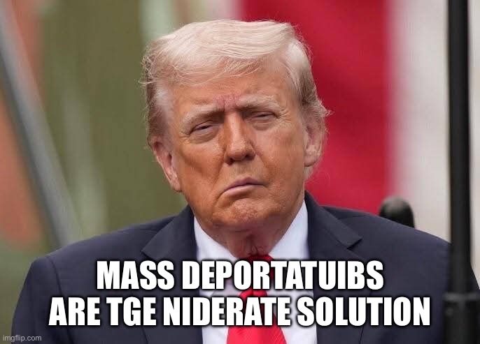 Donald Trump Stroke | MASS DEPORTATUIBS ARE TGE NIDERATE SOLUTION | image tagged in donald trump stroke | made w/ Imgflip meme maker
