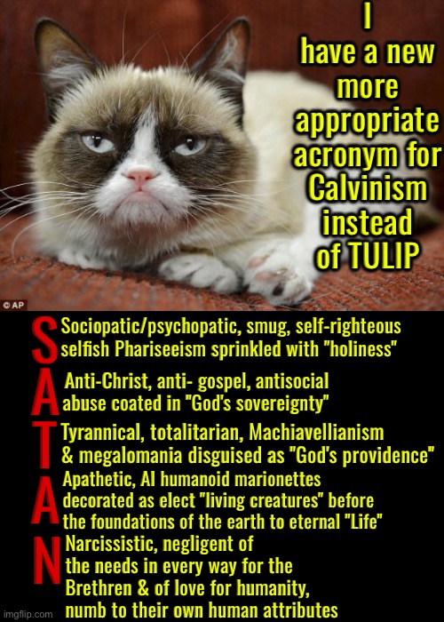 A New Calvinism Acronym that's more appropriate | I have a new more appropriate acronym for Calvinism instead of TULIP; S; Sociopatic/psychopatic, smug, self-righteous selfish Phariseeism sprinkled with "holiness"; A; Anti-Christ, anti- gospel, antisocial abuse coated in "God's sovereignty"; A; T; Tyrannical, totalitarian, Machiavellianism & megalomania disguised as "God's providence"; Apathetic, AI humanoid marionettes decorated as elect "living creatures" before the foundations of the earth to eternal "Life"; Narcissistic, negligent of the needs in every way for the Brethren & of love for humanity, numb to their own human attributes; N | image tagged in grumpy cat,calvinism,calvinist memes,satan,anti calvinism,reformed theology | made w/ Imgflip meme maker