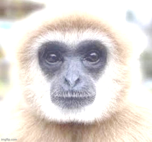 Kill 6 billion people | made w/ Imgflip meme maker