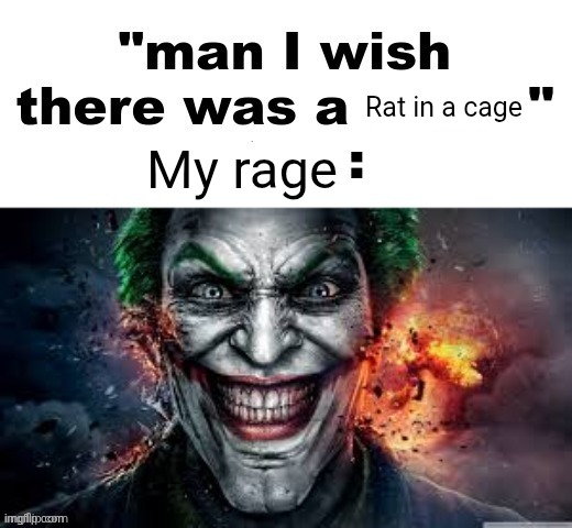 Despite all my rage… | Rat in a cage; My rage | image tagged in man i wish there was a,bullet with butterfly wings | made w/ Imgflip meme maker