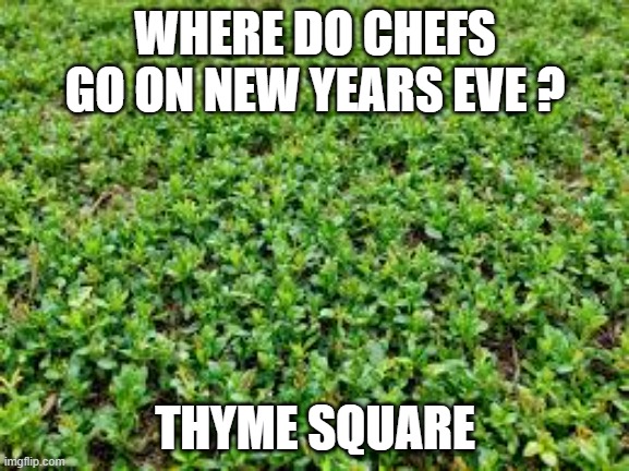 Where do chefs go on New Year's Eve?      Thymes Square. | WHERE DO CHEFS GO ON NEW YEARS EVE ? THYME SQUARE | image tagged in funny,humor,play on words,new years eve,new year,chef | made w/ Imgflip meme maker
