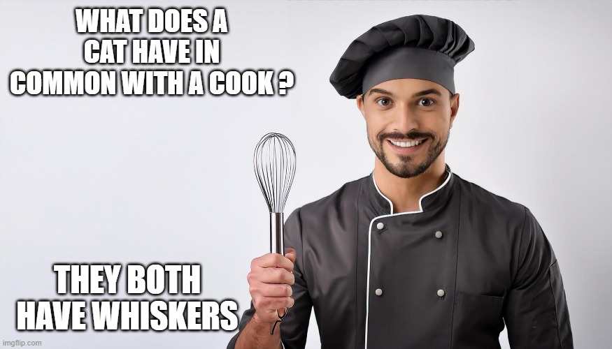 What does a cat have in common with a cook?  They both have whiskers. | WHAT DOES A CAT HAVE IN COMMON WITH A COOK ? THEY BOTH HAVE WHISKERS | image tagged in cat,kittens,funny,humor,play on words | made w/ Imgflip meme maker