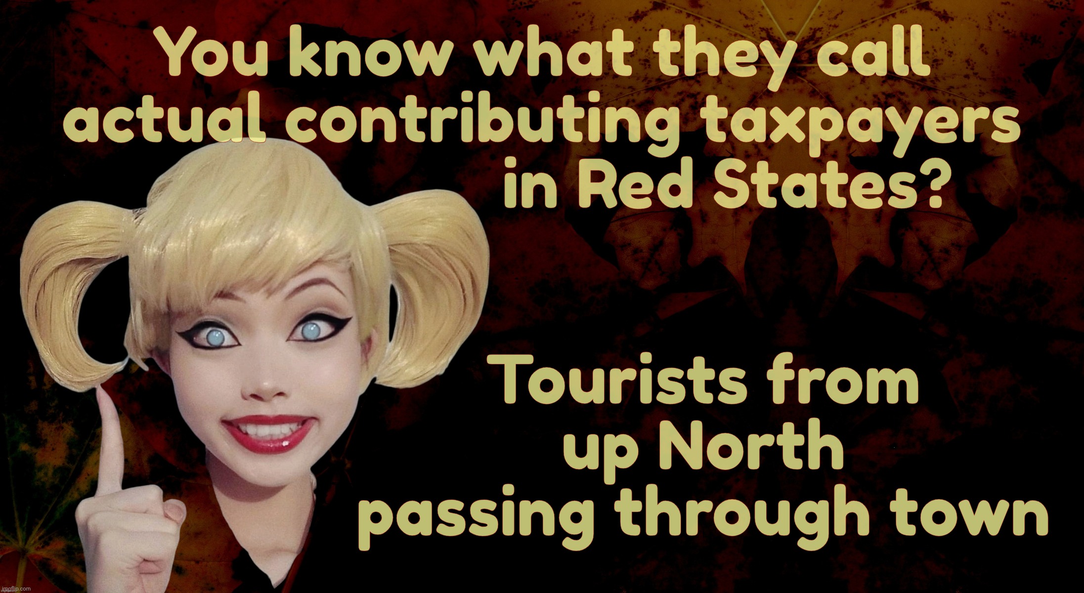 Q: What do they call a Red State taxpayer? A: A Blue State tourist who stopped to fill their tank up with gas | You know what they call
actual contributing taxpayers
                      in Red States? Tourists from up North passing through town | image tagged in harley quinn,red state moochers,welfare states,higher unemployment,supported by blue states,this is fdr's fault | made w/ Imgflip meme maker
