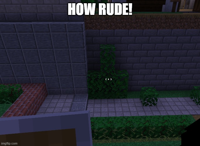How dare you! | HOW RUDE! | image tagged in rude,minecraft | made w/ Imgflip meme maker
