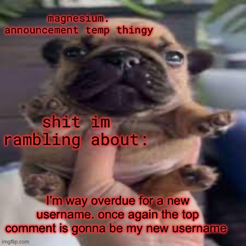 pug temp | I’m way overdue for a new username. once again the top comment is gonna be my new username | image tagged in pug temp | made w/ Imgflip meme maker