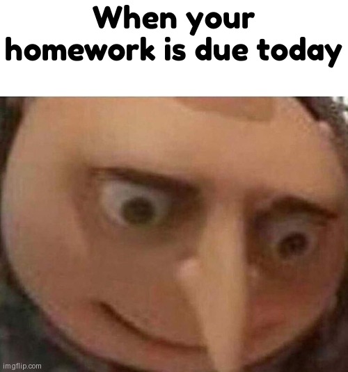 gru meme | When your homework is due today | image tagged in gru meme | made w/ Imgflip meme maker