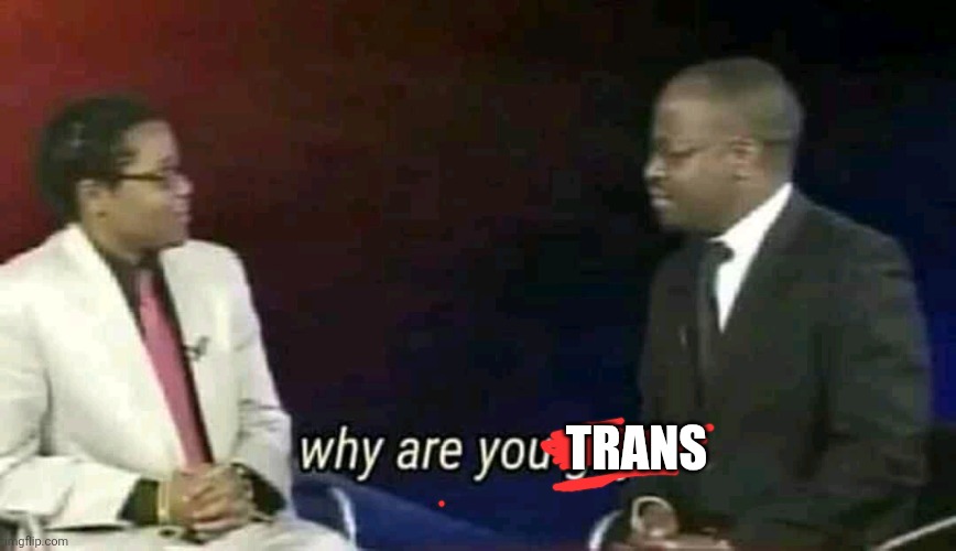 Why are you gay? | TRANS | image tagged in why are you gay | made w/ Imgflip meme maker