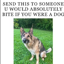 meow | made w/ Imgflip meme maker