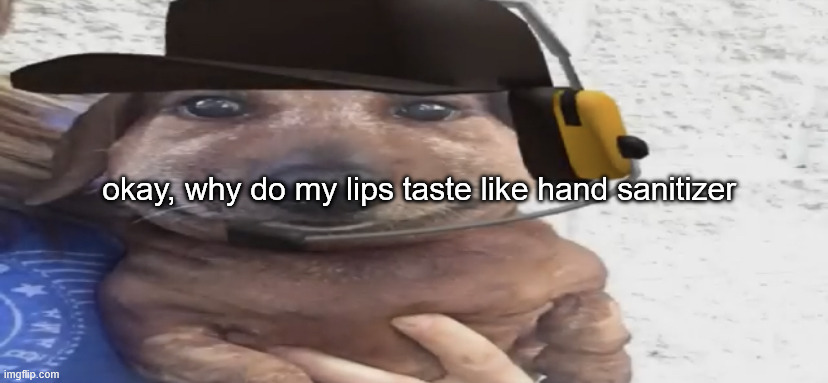 my tougnue are dieding | okay, why do my lips taste like hand sanitizer | made w/ Imgflip meme maker