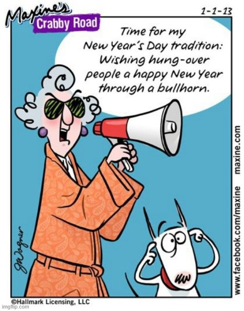 HAPPY NEW YEAR 2026!!!!!!!!!! | image tagged in new year's,tradition,hungover,people,megaphone,happy new year | made w/ Imgflip meme maker