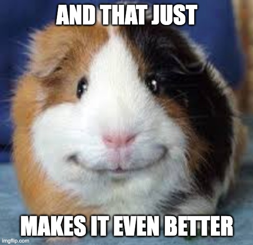 malicious guinea pig smile | AND THAT JUST MAKES IT EVEN BETTER | image tagged in malicious guinea pig smile | made w/ Imgflip meme maker
