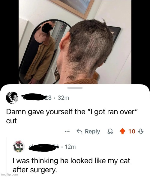 image tagged in haircut,ran over,cat,surgery | made w/ Imgflip meme maker