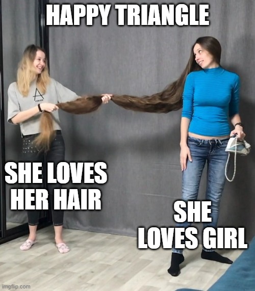 Gay Love | HAPPY TRIANGLE; SHE LOVES HER HAIR; SHE LOVES GIRL | image tagged in lesbian | made w/ Imgflip meme maker