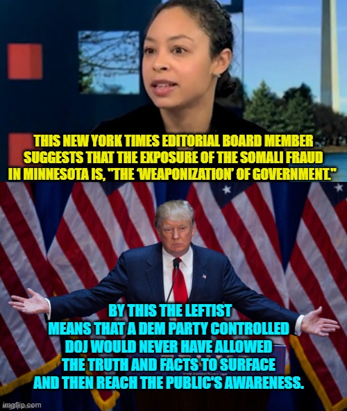 True that! | THIS NEW YORK TIMES EDITORIAL BOARD MEMBER SUGGESTS THAT THE EXPOSURE OF THE SOMALI FRAUD IN MINNESOTA IS, "THE ‘WEAPONIZATION’ OF GOVERNMENT."; BY THIS THE LEFTIST MEANS THAT A DEM PARTY CONTROLLED DOJ WOULD NEVER HAVE ALLOWED THE TRUTH AND FACTS TO SURFACE AND THEN REACH THE PUBLIC'S AWARENESS. | image tagged in yep | made w/ Imgflip meme maker