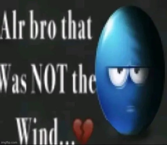 Alr bro that was NOT the wind…</3 | image tagged in alr bro that was not the wind /3 | made w/ Imgflip meme maker