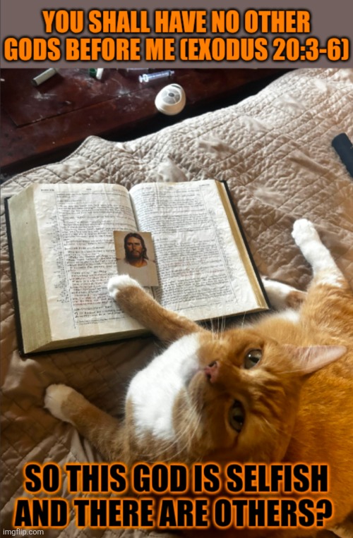 This #lolcat wonders why people worship a selfish god | image tagged in god,gods,selfish,lolcat,religion,bible | made w/ Imgflip meme maker